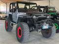 Jeep Wrangler Wrangler Tj 4.0 - OMOLOGATO Noir - thumbnail 3