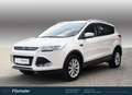 Ford Kuga Titanium Weiß - thumbnail 1