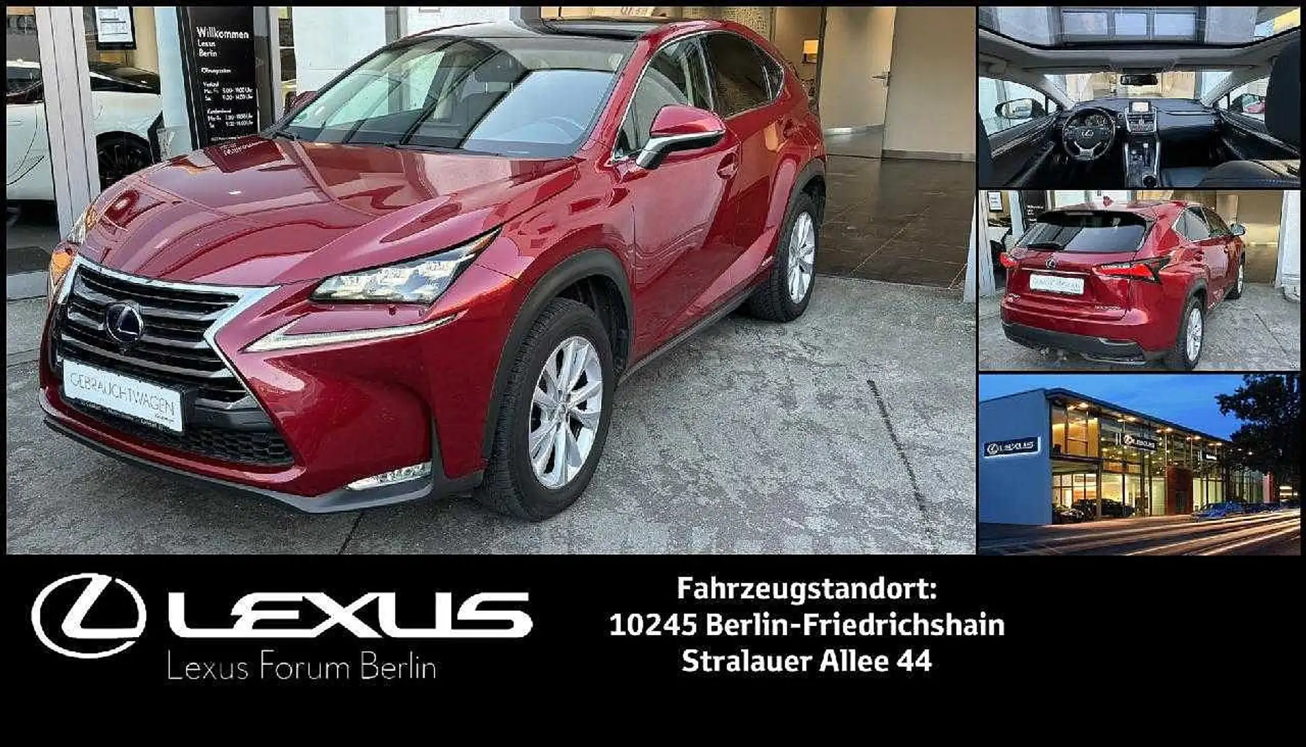 Lexus NX 300h NX300h LUXURY LINE *AHK*Standheizung*Panoramadach* Czerwony - 1
