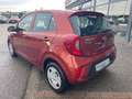 Kia Picanto Edition 7 emotion Orange - thumbnail 3