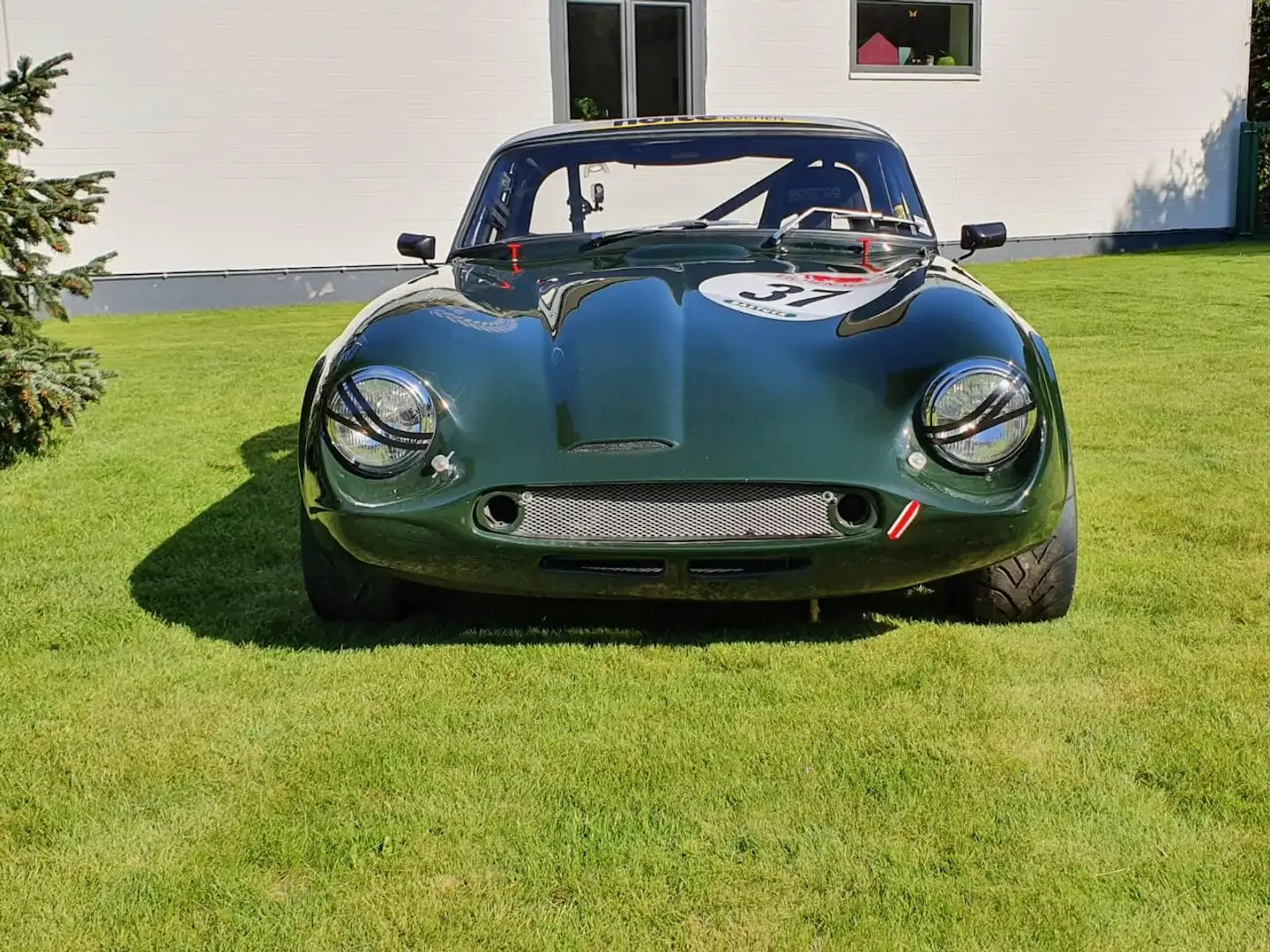 TVR Sonstige - 1
