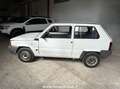 Fiat Panda 1100 i.e. cat Young Blanc - thumbnail 3