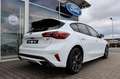 Ford Focus ST X 2.3 Matrix-LED 4,99% FIN* mgl. AHK Weiß - thumbnail 8