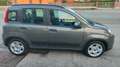 Fiat Panda 1.0 FireFly S&S Hybrid City Life Grau - thumbnail 5