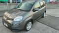 Fiat Panda 1.0 FireFly S&S Hybrid City Life Grau - thumbnail 3