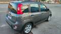 Fiat Panda 1.0 FireFly S&S Hybrid City Life Grau - thumbnail 8