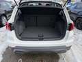 SEAT Arona Reference Edition 1.0 TSI Ö-Paket Ref Weiß - thumbnail 13