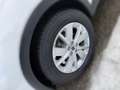SEAT Arona Reference Edition 1.0 TSI Ö-Paket Ref Weiß - thumbnail 5