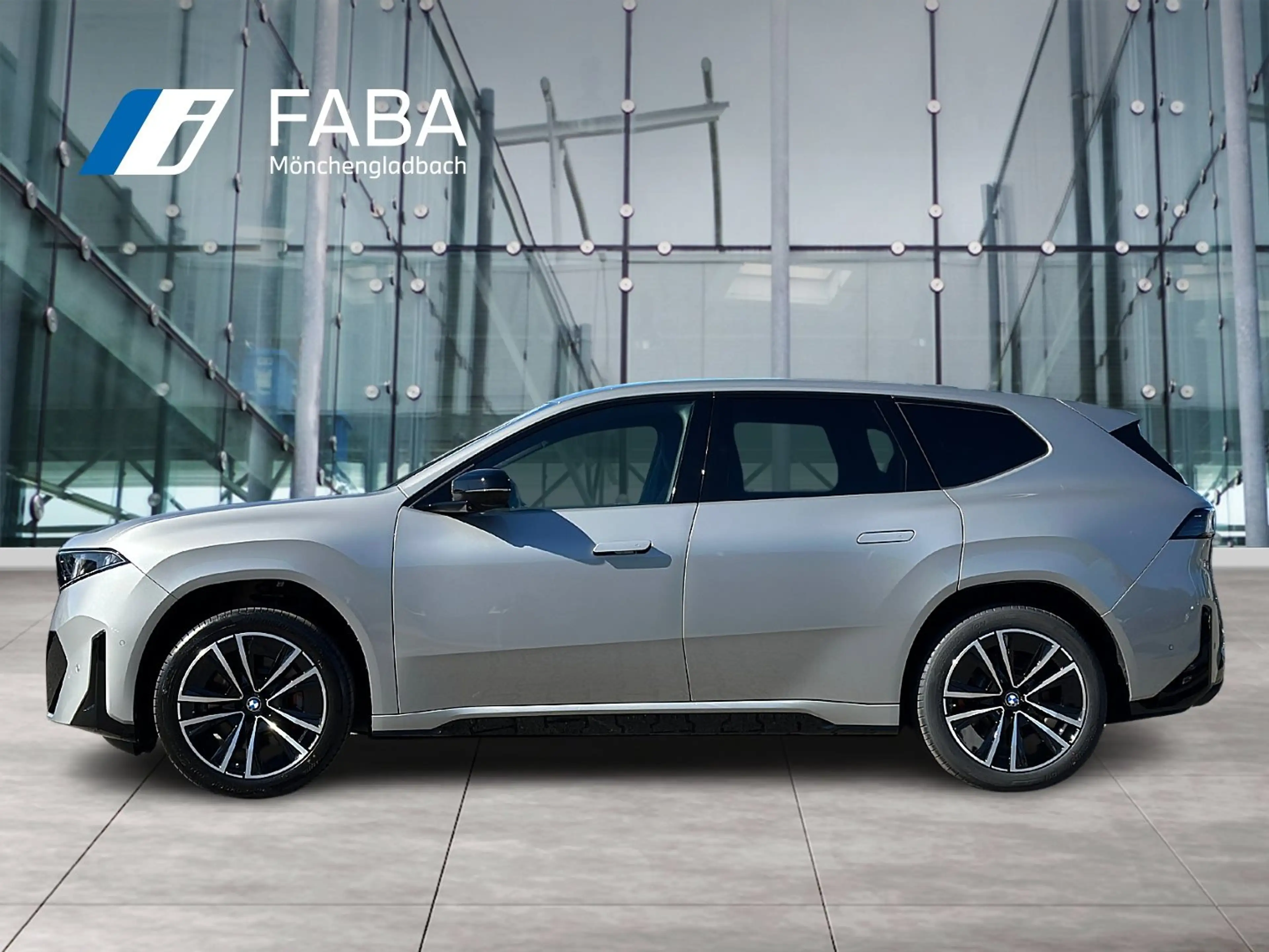 BMW iX3 40 M Sport Pro HK HiFi DAB RFK Parkassistent — photo 5