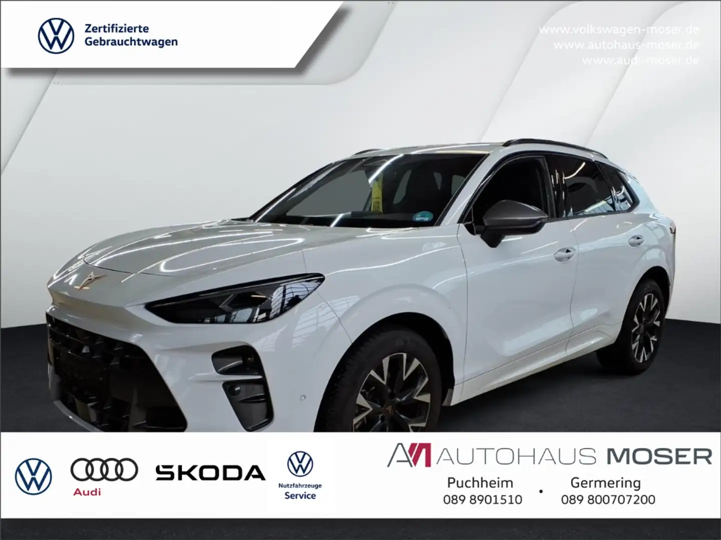 CUPRA Terramar 1.5eTSI DSG - HeadUP*360*Assist*Keyless!!! Weiß - 1