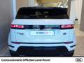 Land Rover Range Rover Evoque 2.0d i4 mhev se awd 150cv auto Bianco - thumbnail 3