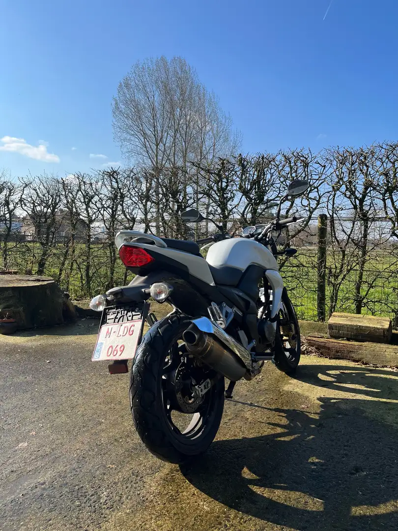 SYM Wolf SB 125 Ni wolf Blanc - 2