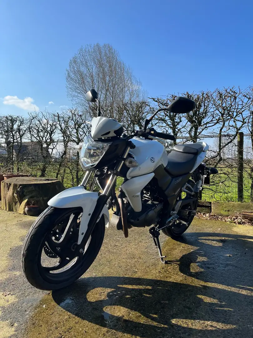 SYM Wolf SB 125 Ni wolf Blanc - 1