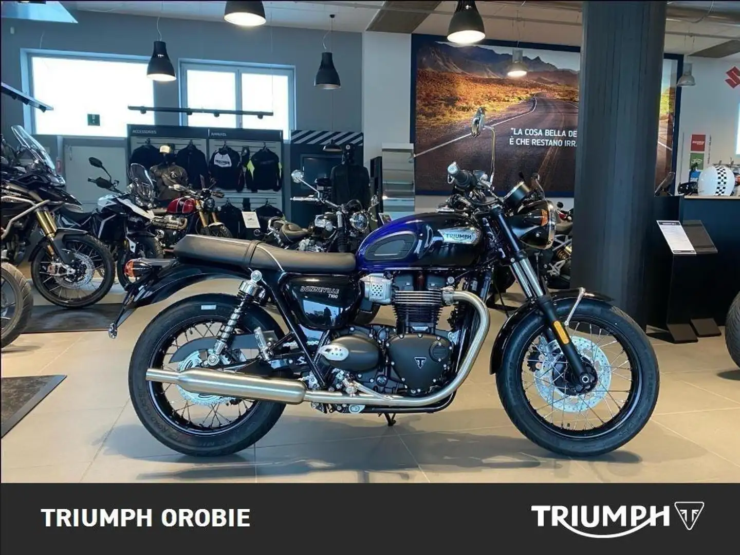 Triumph Bonneville T100 Stealth Edition Blu/Azzurro - 1