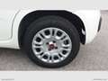 Fiat Panda 1.2 Easy Weiß - thumbnail 5