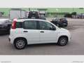 Fiat Panda 1.2 Easy Weiß - thumbnail 3