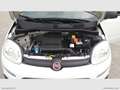 Fiat Panda 1.2 Easy Weiß - thumbnail 12