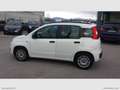 Fiat Panda 1.2 Easy Weiß - thumbnail 4