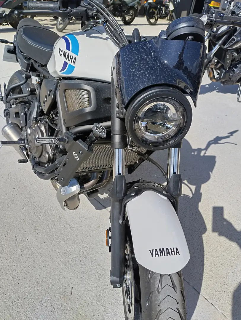 Yamaha XSR 700 - 2