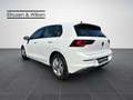 Volkswagen Golf VIII 2.0+TDI+LIFE+LED+ACC+NAVI+SHZ+ Wit - thumbnail 4