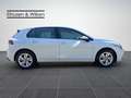 Volkswagen Golf VIII 2.0+TDI+LIFE+LED+ACC+NAVI+SHZ+ Weiß - thumbnail 7
