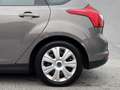 Ford Focus 1.0 EcoBoost Trend Braun - thumbnail 9