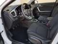 Kia Ceed SW / cee'd SW Sportswagon Spin Vision AHK Navi Klima Sitzheiz... Wit - thumbnail 17