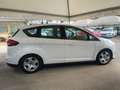 Ford C-Max C-Max III 2015 1.6 Titanium Gpl 120cv Weiß - thumbnail 5