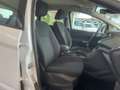 Ford C-Max C-Max III 2015 1.6 Titanium Gpl 120cv Weiß - thumbnail 13