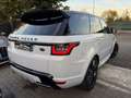 Land Rover Range Rover Sport Range Rover Sport 3.0D l6 300 CV Autobiography Dyn Blanc - thumbnail 5