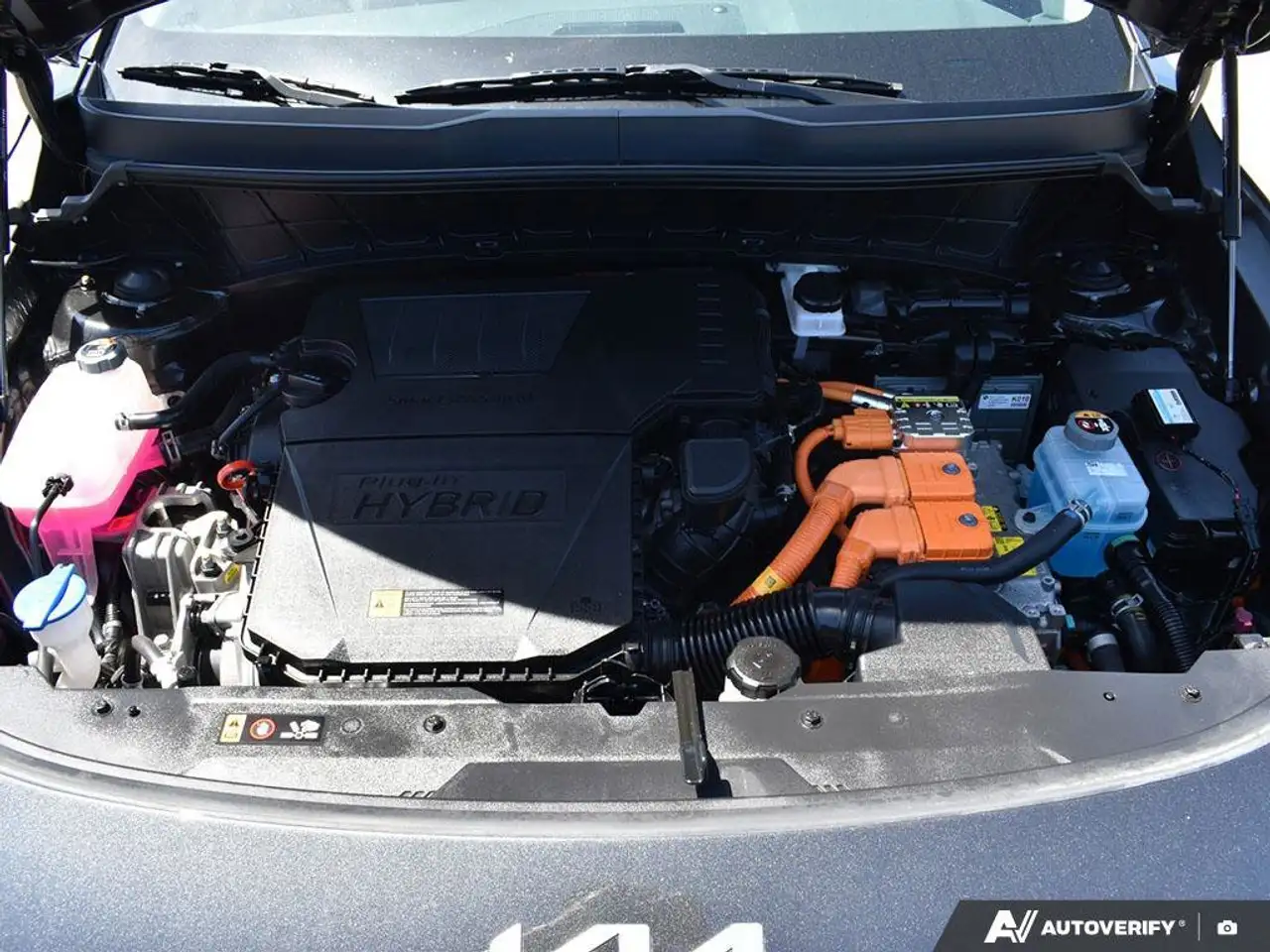 Kia Niro fotografie Kia Niro