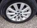 SEAT Ibiza TURBO KLIMAAUTOMATIK Blanc - thumbnail 2