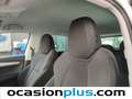 Skoda Karoq 2.0TDI Adblue Selection 85kW Blanco - thumbnail 13