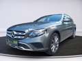 Mercedes-Benz E 220 d T All-Terrain 4MATIC Premium Plus Grau - thumbnail 1