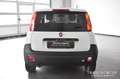 Fiat Panda 1.3 MJT S&S Pop Van - Imm. Autocar. -Ok Neopatent. Bianco - thumbnail 4