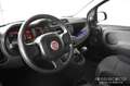 Fiat Panda 1.3 MJT S&S Pop Van - Imm. Autocar. -Ok Neopatent. Bianco - thumbnail 10