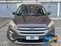 Ford Kuga 1.5 TDCI 120 CV S&S 2WD Business Grigio - thumbnail 2