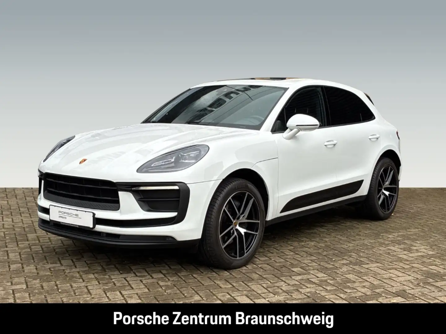 Porsche Macan BOSE Luftfederung Rückfahrkamera LED Wit - 1