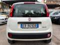 Fiat Panda Panda 0.9 t.air t. natural power Easy Wit - thumbnail 6