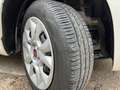 Fiat Panda Panda 0.9 t.air t. natural power Easy Wit - thumbnail 13