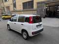 Fiat Panda 1.3 MJT S&S  Van 2 posti  km    5.500 !!! Weiß - thumbnail 3
