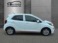 Kia Picanto Dream Team Weiß - thumbnail 4