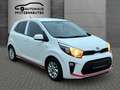Kia Picanto Dream Team Weiß - thumbnail 3