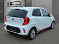 Kia Picanto Dream Team Weiß - thumbnail 5