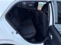 Kia Picanto Dream Team Weiß - thumbnail 12