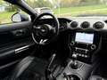 Ford Mustang 2.3, Cuir Chauff/Ventil, Cruise Adapt Blau - thumbnail 15