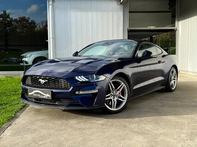 Ford Mustang 2.3, Cuir Chauff/Ventil, Cruise Adapt