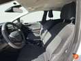 Ford Fiesta 1.0 EcoBoost MHEV 92kW(125CV) Active 5p Blanc - thumbnail 11