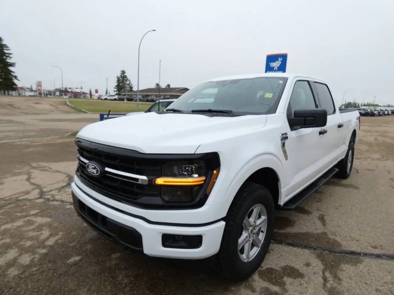 2026 Ford F 150