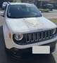 Jeep Renegade 2.0 I MultiJet S&S 120 ch 4x4 Winter Edition - thumbnail 3
